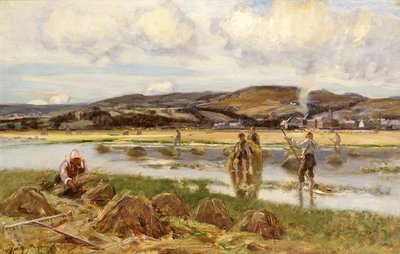 جامعي القصب بواسطة ديفيد موراي